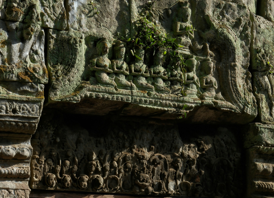 simone-dinoia-cLiNBKfQqxY-unsplash